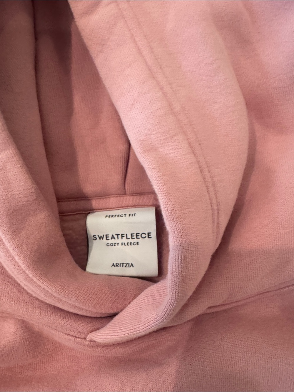 Aritzia Dusty Rose Pullover Hoodie - Picture 2 of 3